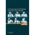 Grammar, Gesture, and Meaning in American Sign Language - Paperback