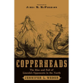 Copperheads: The Rise and Fall of Lincoln's Opponents in the North - Paperback