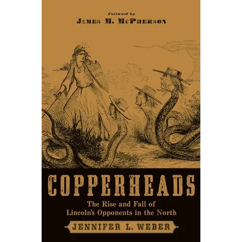 Copperheads: The Rise and Fall of Lincoln's Opponents in the North - Paperback