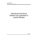 Alternatives to the Secure Detention and Confinement of Juvenile Offenders - Paperback