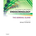 Endocrinology Adult and Pediatric: The Adrenal Gland - Paperback
