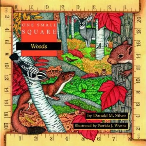 One Small Square: Woods - Paperback