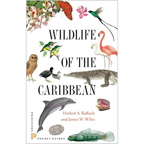Wildlife of the Caribbean - Paperback