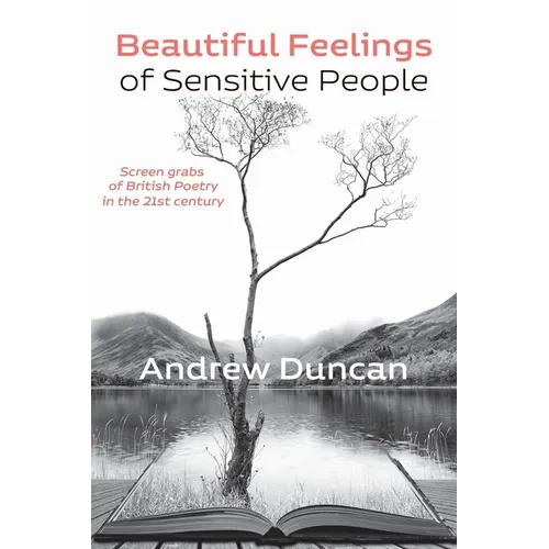 Beautiful Feelings of Sensitive People: Screen grabs of British Poetry in the 21st century - Paperback