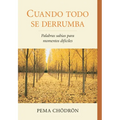 Cuando Todo Se Derrumba (When Things Fall Apart): Palabras Sabias Para Momentos Dificiles - Paperback