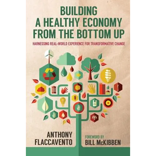 Building a Healthy Economy from the Bottom Up: Harnessing Real-World Experience for Transformative Change - Paperback