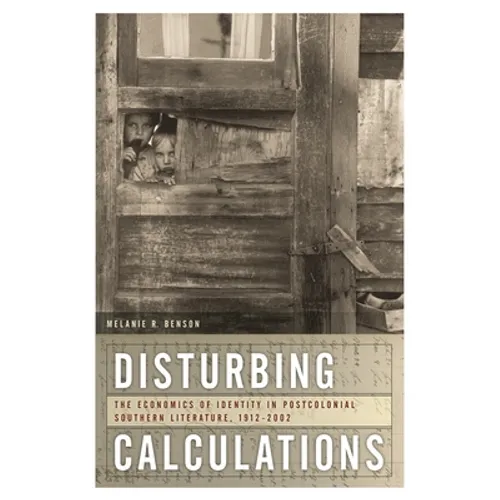 Disturbing Calculations: The Economics of Identity in Postcolonial Southern Literature, 1912-2002 - Paperback