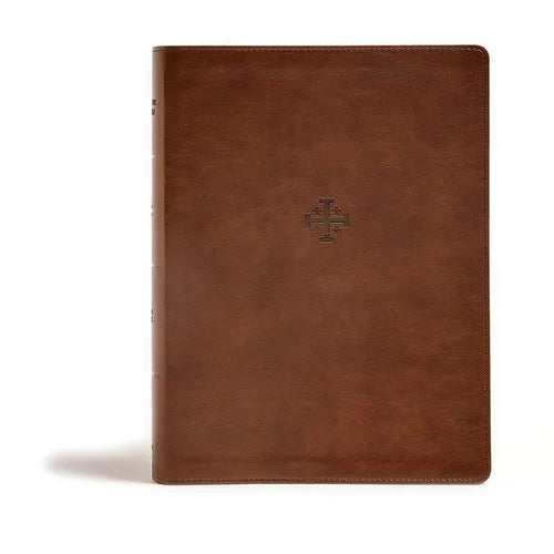 CSB Life Connections Study Bible, Brown Leathertouch: For Personal or Small Group Study - Leather