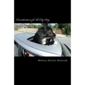 Considerations for the City Dog - Paperback