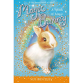 A Splash of Magic #3 - Paperback
