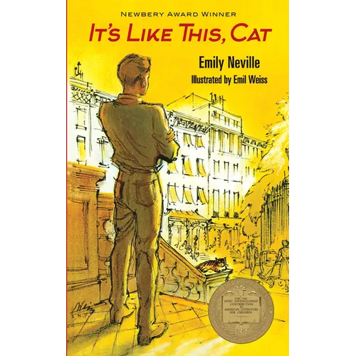 It's Like This, Cat - Paperback