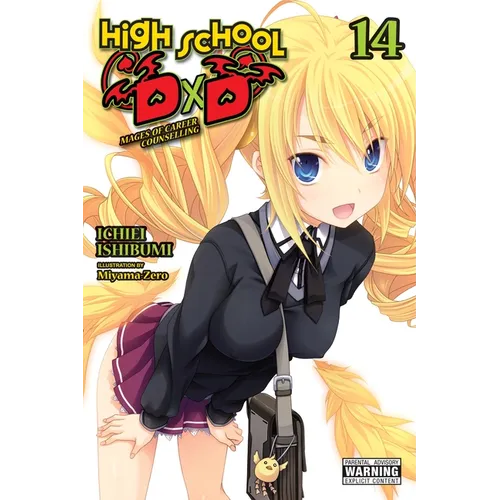 High School DXD, Vol. 14 (Light Novel): Mages of Career Counselling - Paperback