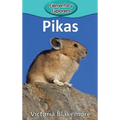 Pikas - Hardcover