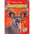 Antelopes - Library Binding