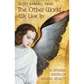 The Other World We Live In: A Catholic Vision of Angelic Reality - Paperback