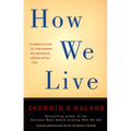 How We Live - Paperback