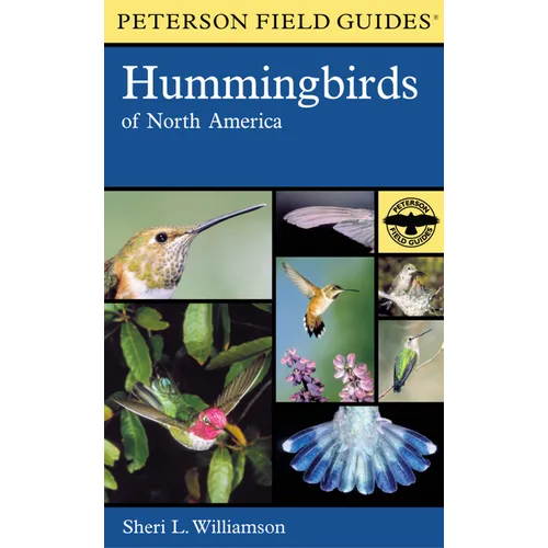 Hummingbirds of North America - Hardcover