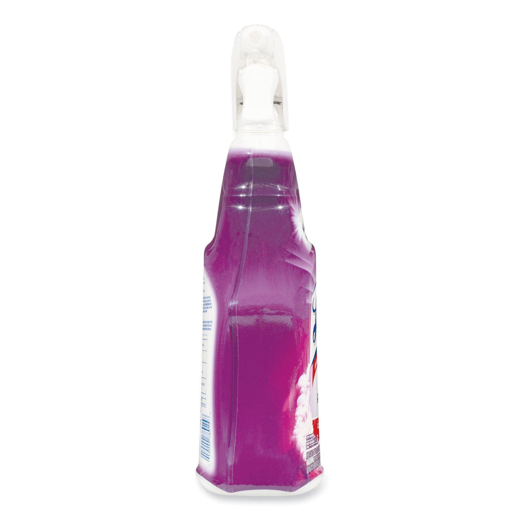 LYSOL Mold and Mildew Remover with Bleach, Ready to Use, 32 oz Spray Bottle