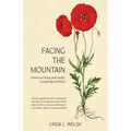 Facing the Mountain: Poems on Dying and Death, Caregiving and Hope - Paperback