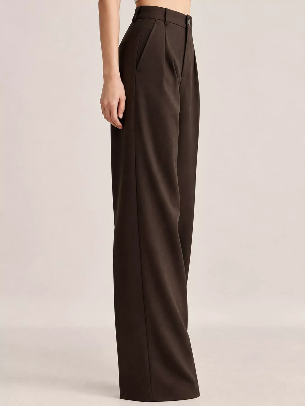 High-Waisted Pleated Wide-Leg Pants