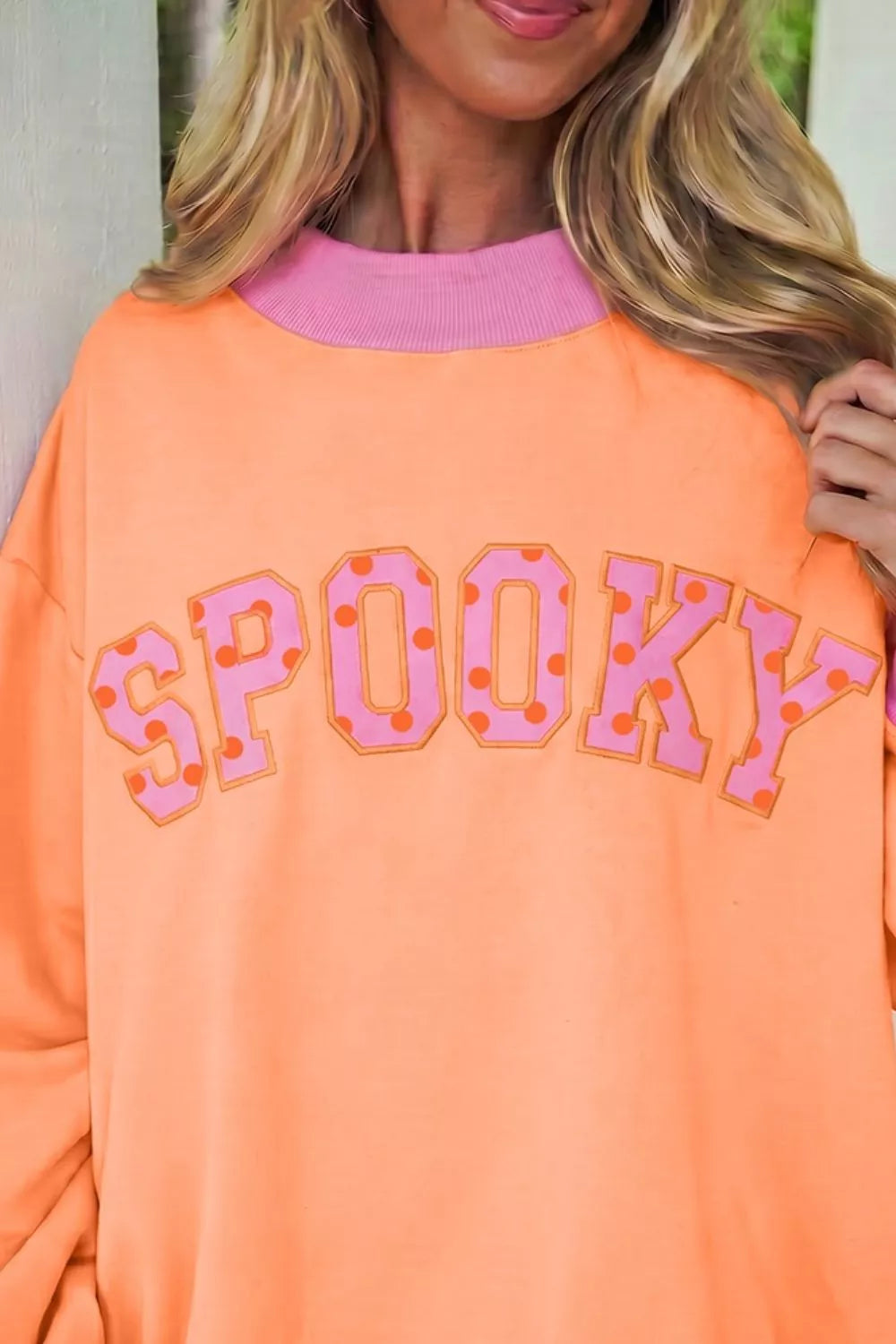 Colorblock Trim Crewneck Long Sleeve Sweatshirt