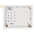 Warner Bros  Harry Potter Magical Moments White and Gold Milestone Baby Blanket