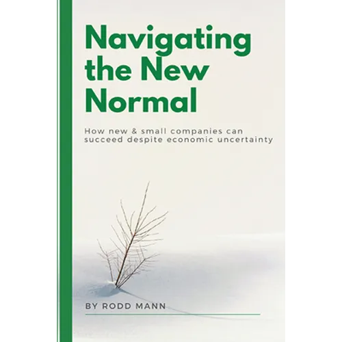 Navigating the New Normal: How New & Small Companies Can Succeed Despite Economic Uncertainty - Paperback
