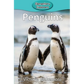 Penguins - Paperback
