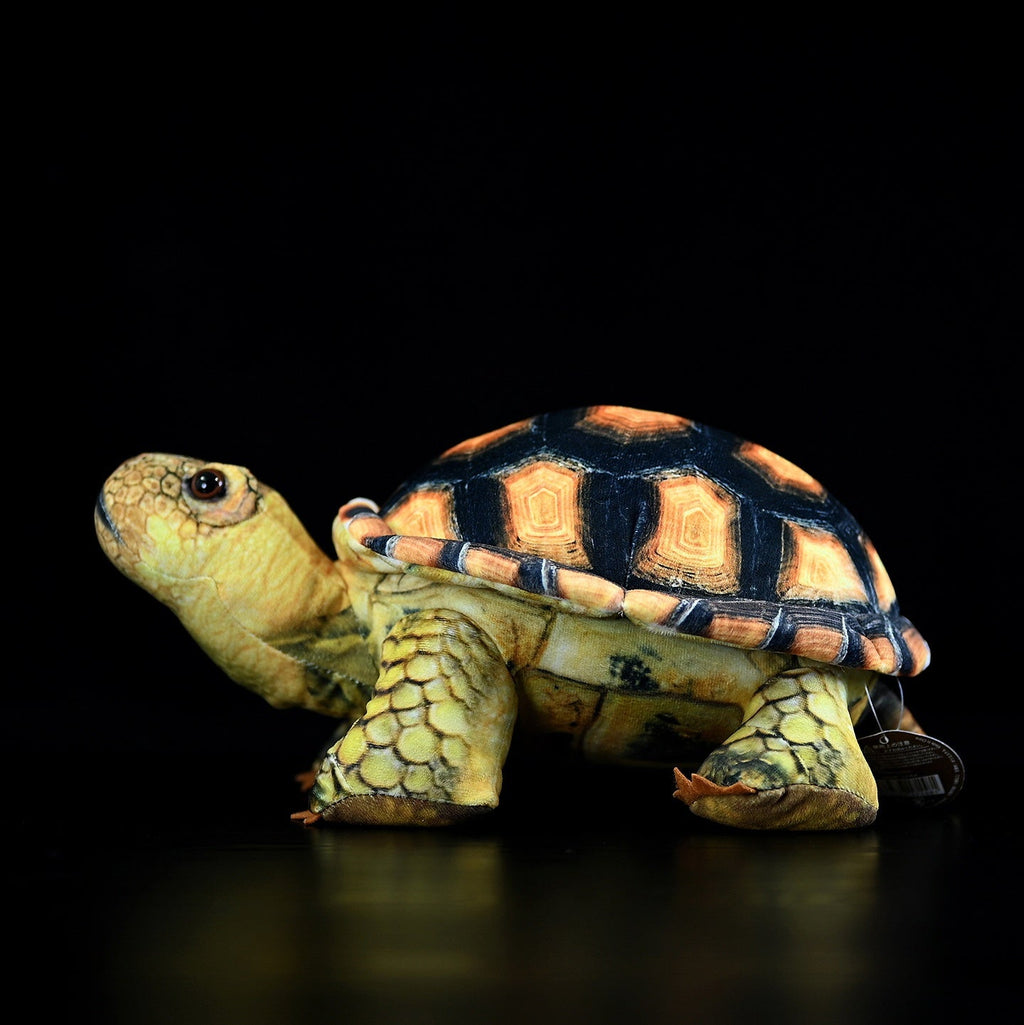 Simulated Land Turtle Doll Cute Turtle Doll Plush Toy