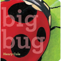 Big Bug - Board Book