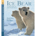 Ice Bear: In the Steps of the Polar Bear: Read and Wonder - Paperback