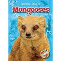 Mongooses - Library Binding