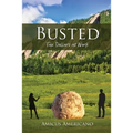 Busted (Tax Dollars at Work) - Paperback
