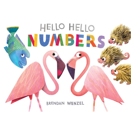 Hello Hello Numbers - Board Book