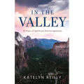 In the Valley - Paperback