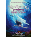 Wild Rescuers: Sentinels in the Deep Ocean - Paperback