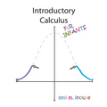 Introductory Calculus For Infants - Paperback