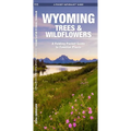 Wyoming Trees & Wildflowers: A Folding Pocket Guide to Familiar Plants