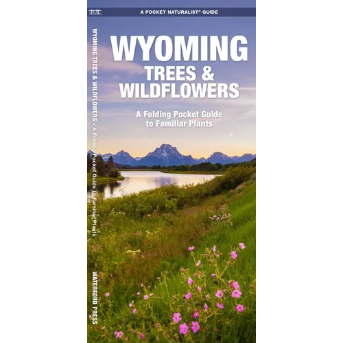 Wyoming Trees & Wildflowers: A Folding Pocket Guide to Familiar Plants