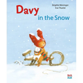 Davy in the Snow - Hardcover