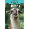 Llamas - Paperback