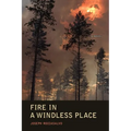 Fire in a Windless Place - Paperback