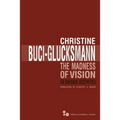 The Madness of Vision: On Baroque Aesthetics Volume 44 - Paperback