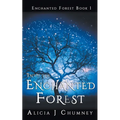 Into the Enchanted Forest - Paperback