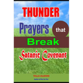 Thunder Prayers that Break Satanic Covenant: Powerful Prayer that Rout Demon - Paperback