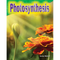 Photosynthesis - Paperback