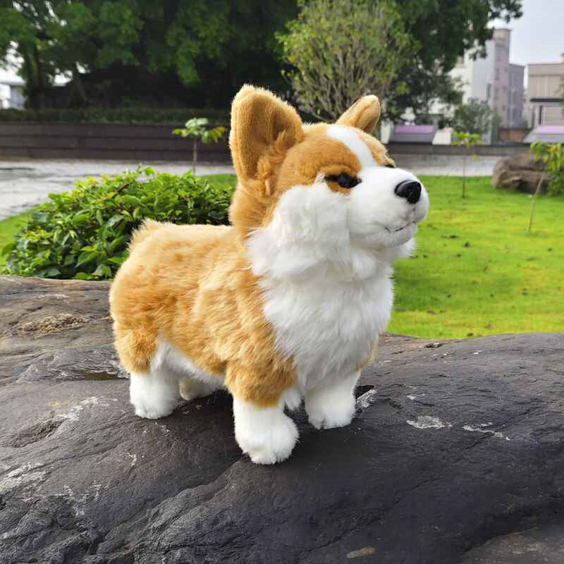Cute Welsh Short-legged Dog With Plush Toys