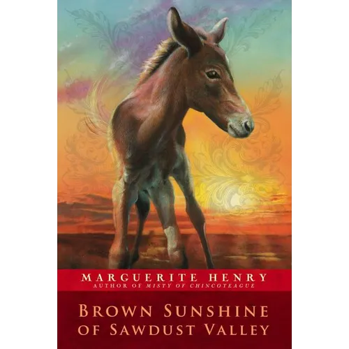 Brown Sunshine of Sawdust Valley - Paperback