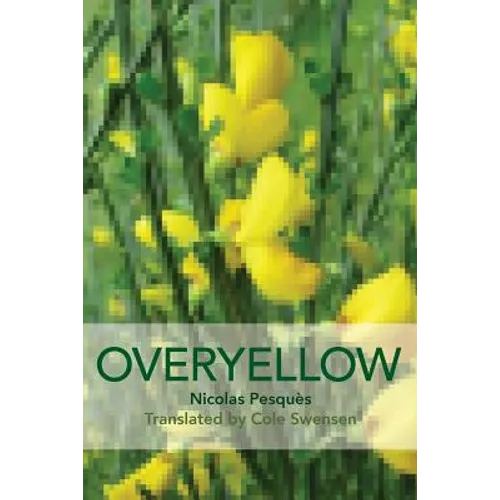 Overyellow: The Poem as Installation Art - Paperback