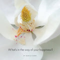 What's in the Way of Your Happiness?: How to break free from annoying relationships, jobs and unexpected life circumstances - Paperback